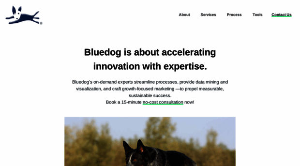 bluedog.net