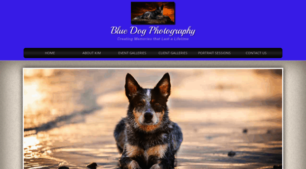 bluedogphotos.com