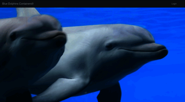 bluedolphins.com.tr