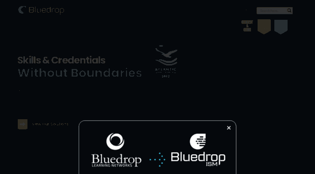 bluedroplearningnetworks.com