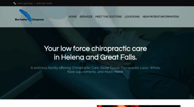 bluefeatherchiropractic.com