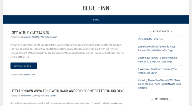 bluefinn.net