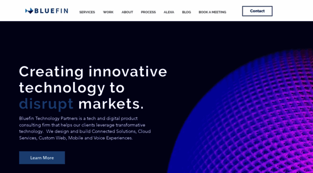 bluefintechnologypartners.com