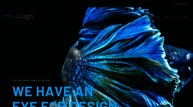 bluefishcreative.com.au