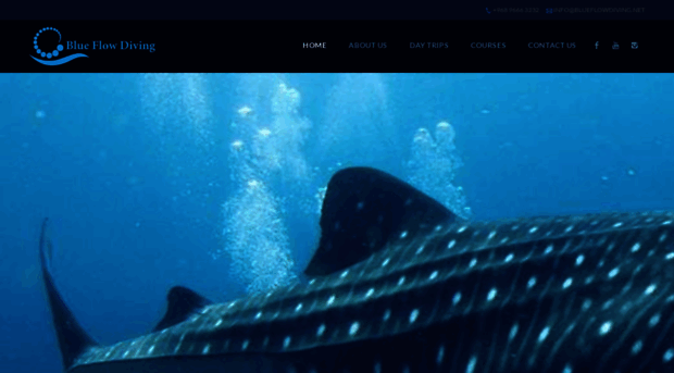 blueflowdiving.net