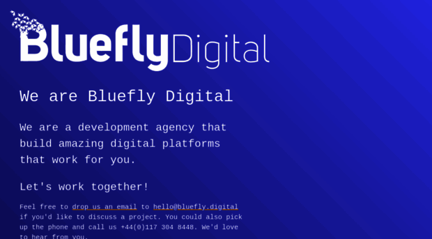 bluefly.digital