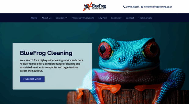 bluefrogcleaning.co.uk