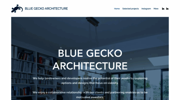 bluegecko.biz