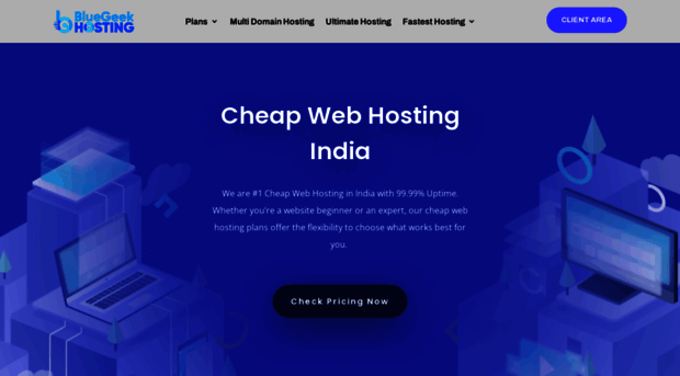 bluegeekhosting.com