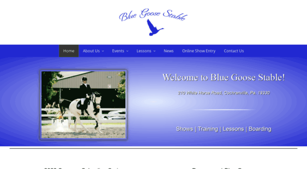 bluegoosestable.com