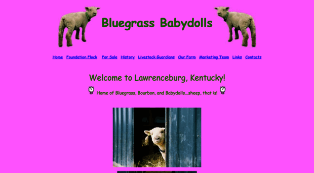 bluegrassbabydolls.com