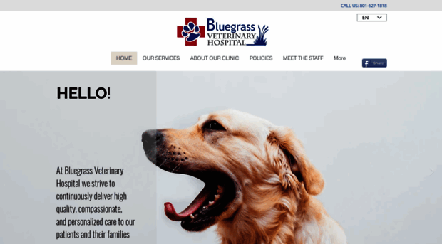 bluegrassveterinaryhospital.com