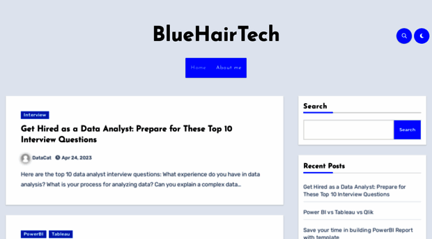 bluehairtech.org