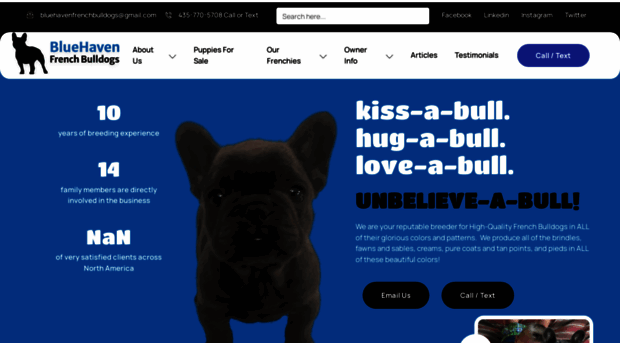 bluehavenfrenchbulldogs.com