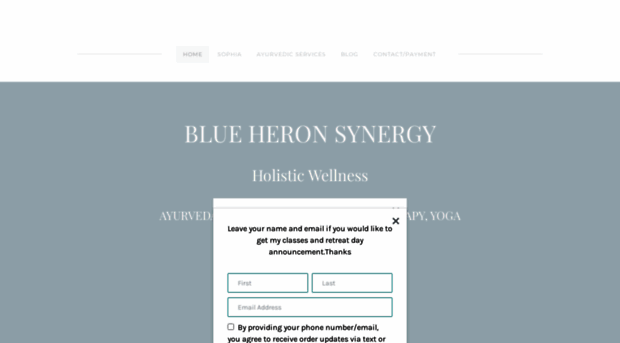 blueheronsynergy.com