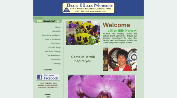 bluehills.com