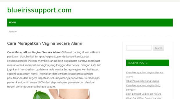 blueirissupport.com