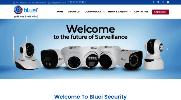 blueisecurity.co.in