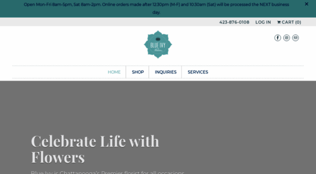 blueivyflowers.com