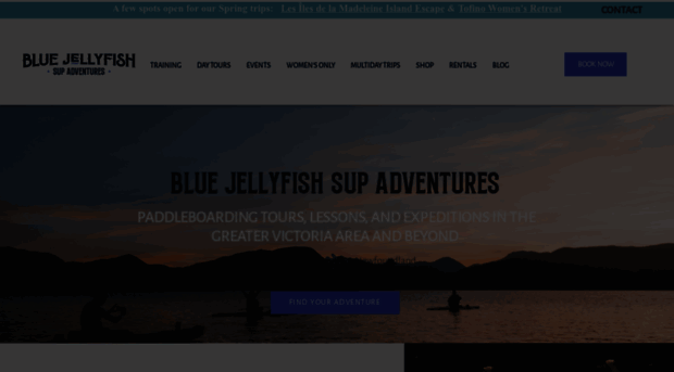 bluejellyfishsup.ca