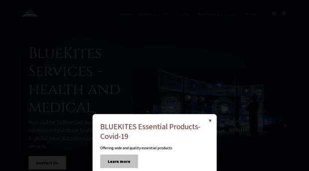 bluekites.co.in