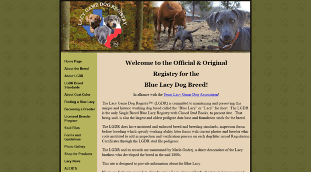 bluelacydogs.org