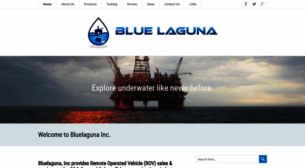 bluelagunainc.com