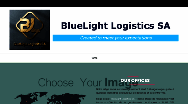 bluelight-logistics.com