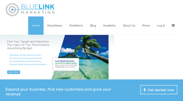bluelinkmarketing.com