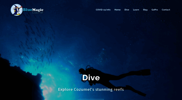 bluemagicscuba.com