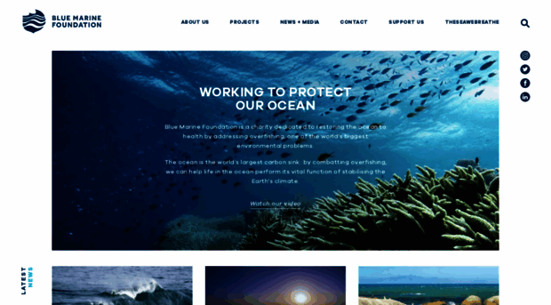 bluemarinefoundation.com