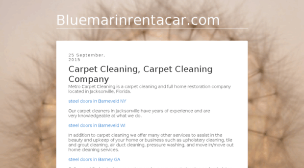 bluemarinrentacar.com