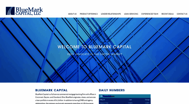 bluemarkcapital.com