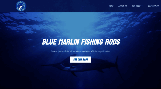 bluemarlinfishingrods.co.za