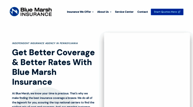 bluemarsh.com