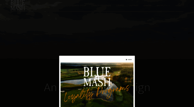 bluemash.com