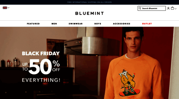 bluemint.com