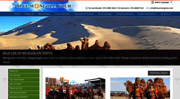 bluemongolia.com