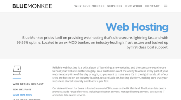 bluemonkeehosting.com