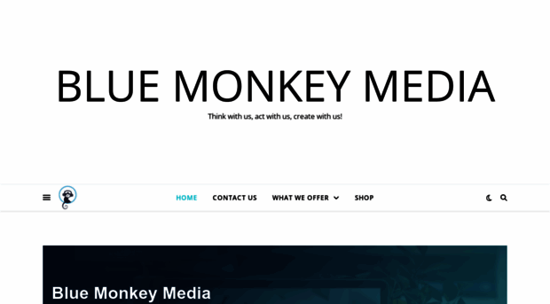 bluemonkeymedia.co.za