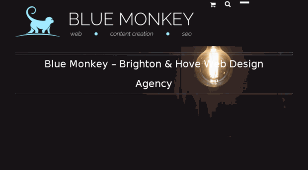 bluemonkeyweb.co.uk