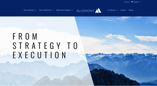 bluemont-consulting.de