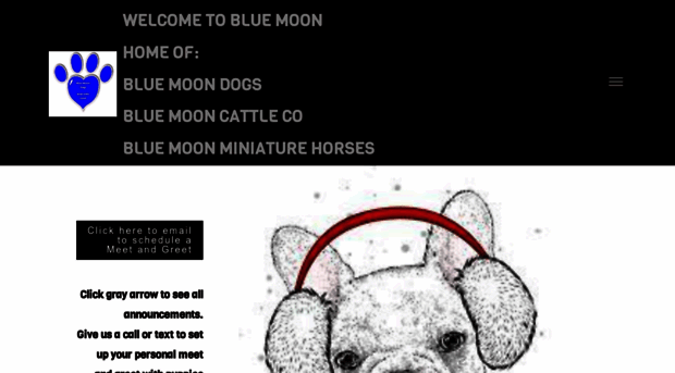 bluemoondogs.com