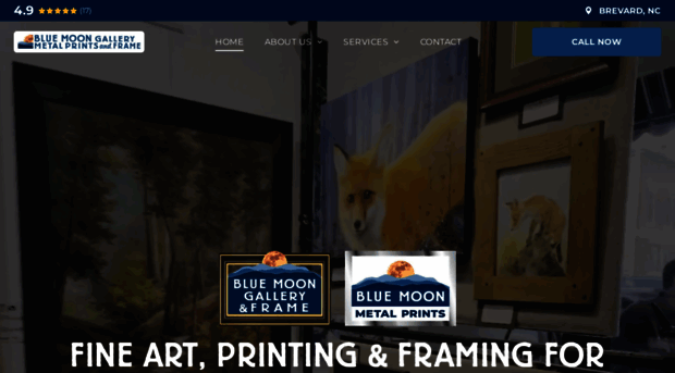 bluemoongalleryandframe.com