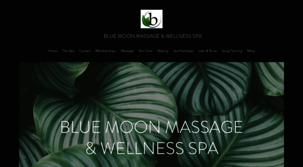 bluemoonmassage-spa.com
