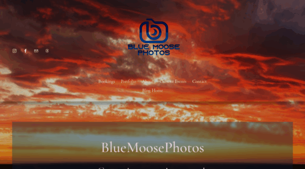bluemoosephotos.com.au