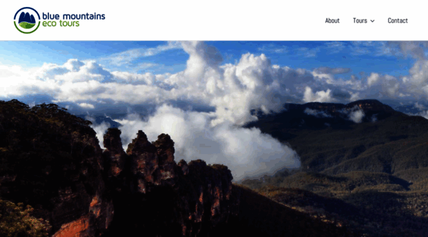 bluemountainsecotours.com