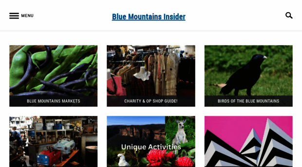 bluemountainsinsider.com