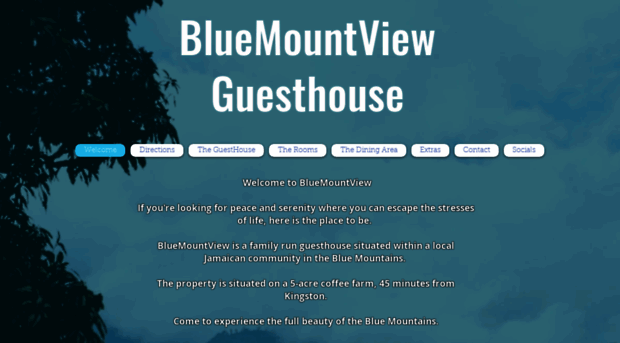 bluemountview.com