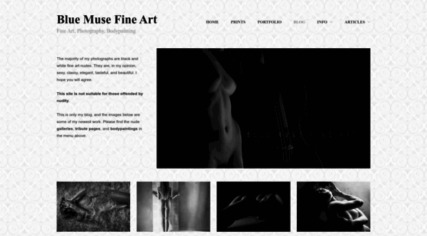 bluemusefineart.com